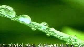 1996 미원 청정원