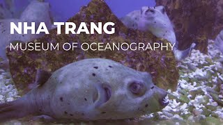 Exploring the Museum of Oceanography in Nha Trang | Vietnam 2024