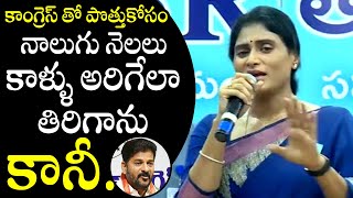 పొత్తు కోసం కాళ్లు అరిగేలా తిరిగాను : YS Sharmila Reveals Tried About YSRTP Alliance With Congress