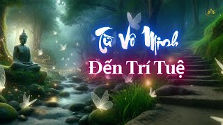 Từ Vô Minh Đến Trí Tuệ | Thiền Sư Ajahn Chah |