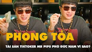 Vì sao Tiktoker Mr Pips Phó Đức Nam và nhiều đồng phạm bị khởi tố, phong tỏa tài sản hơn 5.000 tỉ?