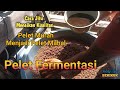 Cara Jitu Menaikan Kualitas Pelet Murah Menjadi Pelet Mahal Berprotein Tinggi, Fermentasi Pelet