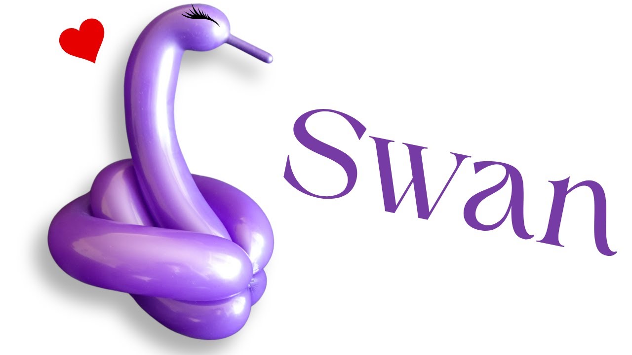 Swan Balloon Animals For Beginners Youtube