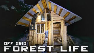 Forest Life Off Grid in a Log Cabin - High-Altitude Work - Closing the Pediment