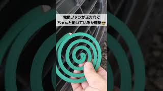 電動ファンが正方向でちゃんと動いているか確認#自動車整備士