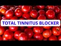 TOTAL TINNITUS BLOCKER 10 Hours Black Screen