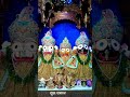 ମୁଁ ଦୁବ ତୁମେ ଦାରୁ 🙏🙏 jayjagannath kalathakura ytshorts odiabhajan mahaprabhu 🙏🙏