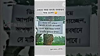 এটা থেকে কি বুঝলেন কমেন্টে বলে যান#subscribe #shorts