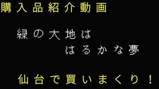 仙台でゲーム買いまくり！～購入品紹介動画019