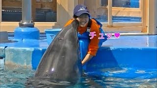 イルカのキス、鳴き声、目、口などの動画集 / 名古屋港水族館