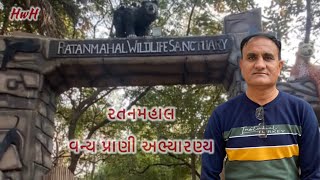 Ratanmahal ॥ Wildlife Sanctuary ॥ Part-3 ॥ રતનમહાલ ॥ વન્ય પ્રાણી અભ્યારણ્ય ॥