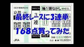 【競馬】泰河の最終レース一発逆転馬券　３連単を１６８点買ってみた　【実践】３連単勝負