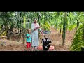 paaku maram valarpu fertilizer used for arecanut arecanut agriculture how to grow paaku maram