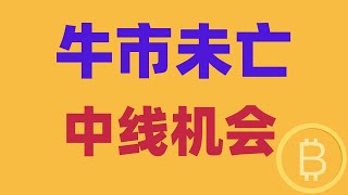 2025.2.14 比特币行情分析｜日线顶部震荡，不要着急看衰，牛市未亡。中线又机会，这里站稳后，一定要把握住。BTC ETH BNB OKB DOGE LTC AVAX 加密货币