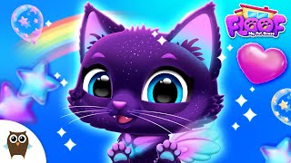 FLOOF Pet Care 💛 FLOOF - My Pet House 🐶😸 TutoTOONS