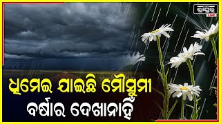 ଆସିବ ଆସିବ କହି ଆସୁନାହିଁ ମୌସୁମୀ...ସମ୍ପୂର୍ଣ୍ଣ ଓଡ଼ିଶାକୁ ମୌସୁମୀ ଛୁଇଁବାକୁ ଆହୁରି ୫ ଦିନ ଲାଗିବ