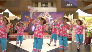 2014 09 27A2油桐花oil tung flower line dance