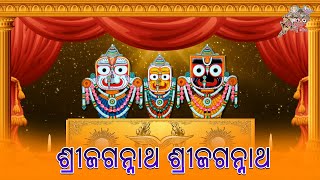 ତୁମେ ଅନନ୍ତ ଅକ୍ଷୟ  ହେ ଜଗନ୍ନାଥ #Odiabhajan Shreejagannath Shreejagannath #bhajan #bestbhajan #bestsong