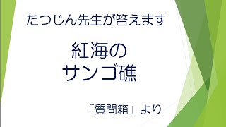 #22230　質問箱；紅海のサンゴ礁＃たつじん地理 ＃授業動画 ＃大学受験＃私大地理＃共通テスト＃地理Ｂ＠たつじん地理