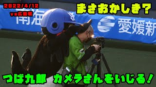 つば九郎　松山のカメラさんをいじる　2022/4/12 vs広島東洋カープ in松山