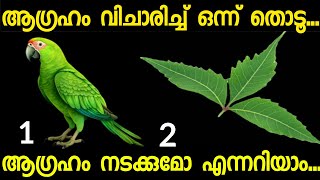 മനസ്സ് പറയുന്ന ഒരു ചിത്രം തൊടൂ..നിങ്ങൾക്ക് വരാൻ പോകുന്ന ഭാഗ്യങ്ങൾ അറിയാം. #thodukuri