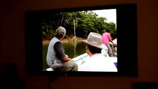 Panasonic UT50 Plasma @50Hz