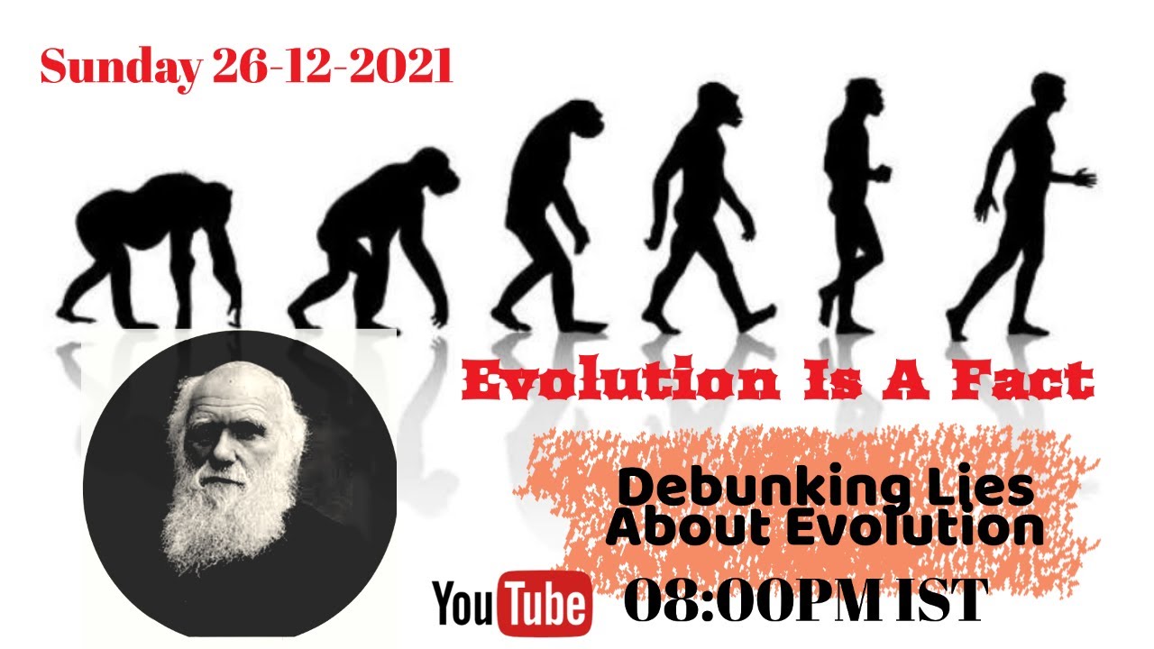 Debunking Lies About Evolution Episode 2 Youtube