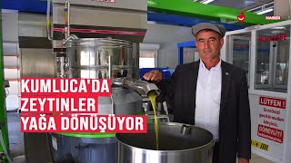 Kumluca'da Zeytinler Yağa Dönüşüyor