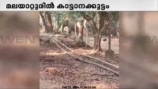 മലയാറ്റൂർ കുരിശുമുടി പാതയിൽ കാട്ടാന ഇറങ്ങി  | Malayattoor