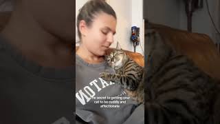 Cat accompanies its owner #cat #cats #cutecat #catlover #catsoftiktok #fyp #foryou #foryoupage  #usa