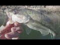 fish4fun cold weather bass fishing