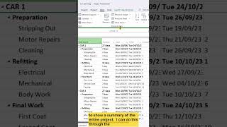 How To Display Project Summary in Microsoft Project #msproject #microsoftproject #projectmanagement