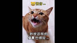 和包子一起唱《1022》 #猫咪 #萌宠出道计划 #cat #catsoftiktok #foryou #petsoftiktok #yun #上热门要流量 #perte