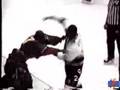 Laraque vs Worrell 1996