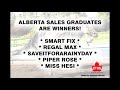 2019 cths ab yr sale video