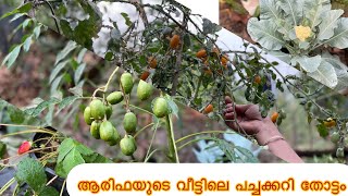 🔥🔥ആരിഫയുടെ വീട്ടിലെ vegetable garden/ garden tour ✌