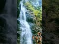 gwalior nalkeshwar waterfall 🤩🤩 shorts viral