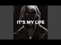 It's My Life (HARD TECHNO)