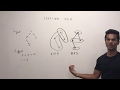 (Remade) Binary Tree Paths | Depth First Search | Leetcode 257