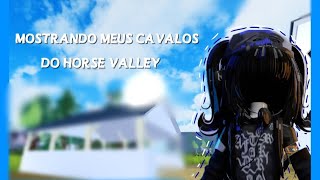 ꒷ ִֶָ ࣪˖  ִֶָ ⊹ ˖ ࣪Mostrando meus cavalos no《Horse valley》-°•🩵💙