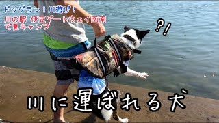 【伊豆の夏キャン】川で泳ぐ練習がしたい夏キャンプ【川の駅 伊豆ゲートウェイ函南】