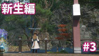 #3【FF14配信】『Ainoとエオルゼア～9363ｋｍの日記』新生編プレイ中