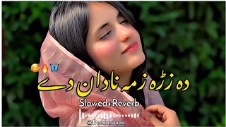 Da Zra Zama Nadan Dy Da Zra 🥰 ( Slowed And Reverb ) Pashto New Song - @Deedanoona