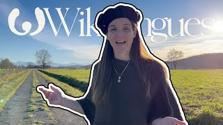 The Gascon language, casually spoken | Wikitongues