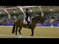 The Sydney CDI - Fiona Selby and Tacita 4th Equestrian NSW Grand Prix Freestyle