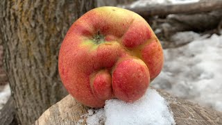 🍎 Enjoy Beautiful Nature With Rural Life 🥝 #viralvideo #fruit #top