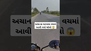 અચાનક આખલા વચમાં આવી ગયો જોવો 😱#trending #viral #Reels #funny