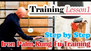Kung Fu training 2021: Iron Palm Kung Fu training step by step – Lesson 1