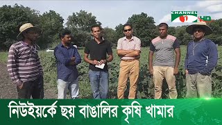 নিউইয়র্কে ছয় বাঙালি পেশাজীবীর কৃষি খামার