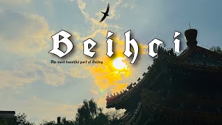 Beihai park || most beautiful park of Beijing || life in China || life in Beijing || study in China